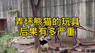 弄坏熊猫的玩具后果有多严重？