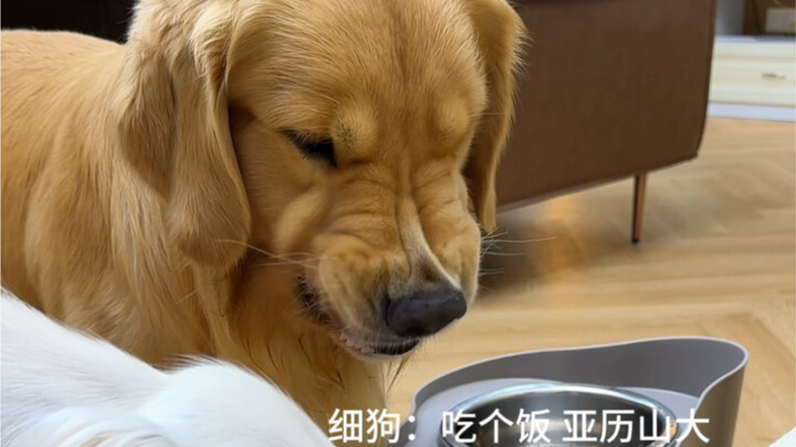 อันหนึ่งฝึกกล้ามเนื้อกระพุ้งแก้ม, อีกอันฝึกกล้ามเนื้อขากรรไกร