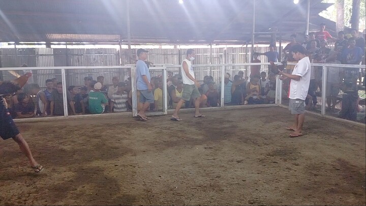 Kelso Roundhead win!!  ganda ng cutting