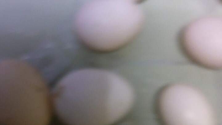 fresh egg💪💪💪🫰
