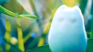 hhh