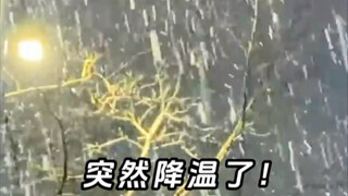 ในหน้าหนาวที่อากาศหนาวจัด ฉันกับสัตว์กินพลังงานสามตัวกลายเป็นเพื่อนบ้านและอยู่ห้องเดียวกัน บอกเลยว่า