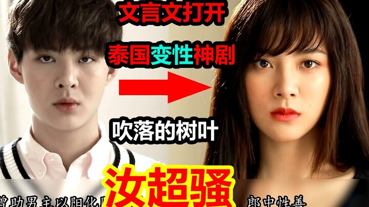 【วัฒนธรรมอ่านหนังสือไม่ออก】นี่คือซีรีส์ดราม่าสุดพีคของไทยที่แซ่บยิ่งกว่า "การล่อลวงกลับบ้าน" อย่างเร