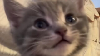 แหล่งจ่ายไฟถูกตัดแล้ว🙀🪫💤