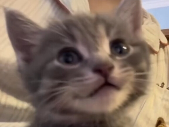 Sumber daya telah terputus 🙀🪫💤