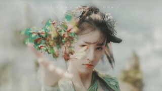 [Vương Nguyệt Y - Bách Tài] Ngoại hình của tiểu tiên bướm trong The Order of the Samurai đẹp đến mức
