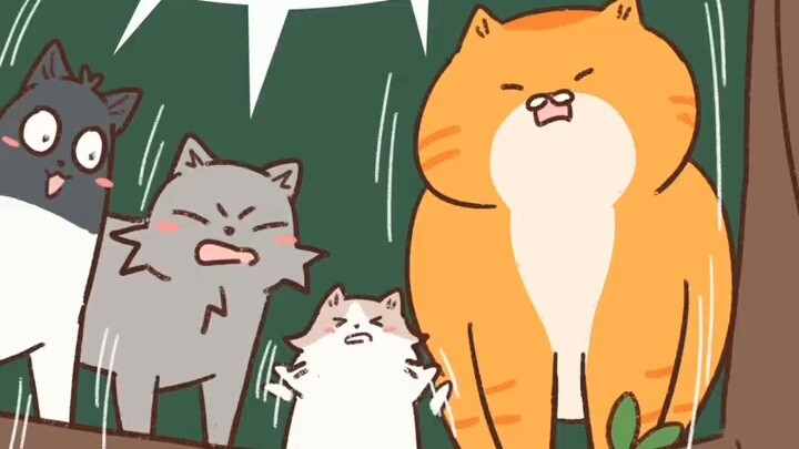 What does NuNu’s cat do when the cat owner goes out?