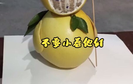 Kerajaan Jeruk Datang!