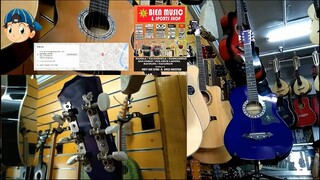 Davis Acoustic Guitar Blue Violet