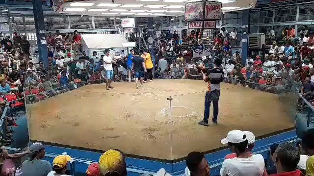 austin flower shop 01-26-24