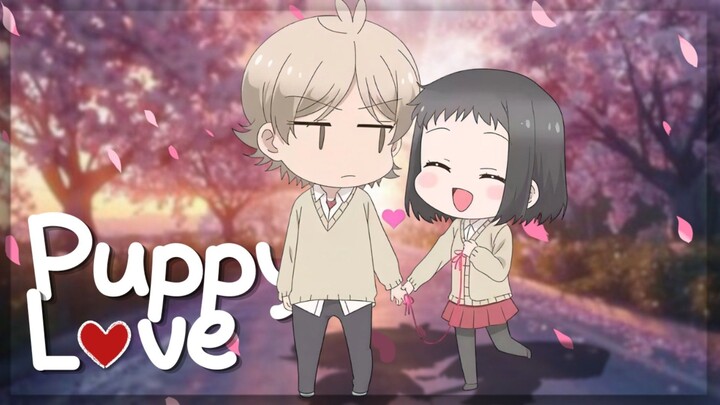【AMV】Puppy Love | Akkun to Kanojo
