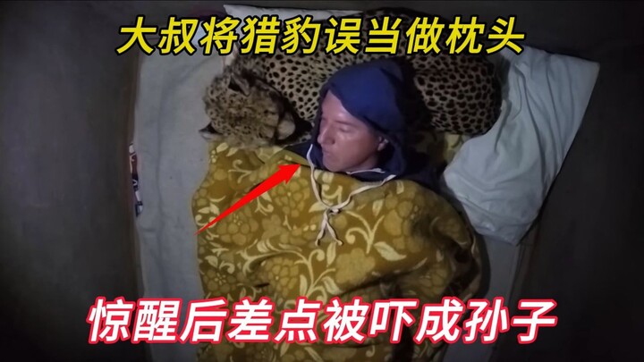 The middle-aged man mistook the intruding cheetah for a pillow in his sleep, and nearly had a heart 