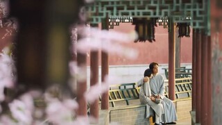 Thơ tang hay nhất thời cổ đại và hiện đại - Bướm Yêu Hoa - Trả lời Lý Thư Nghi