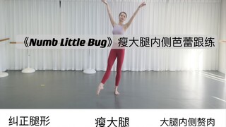 《Dumb Little Bug》瘦大腿内侧芭蕾跟练！