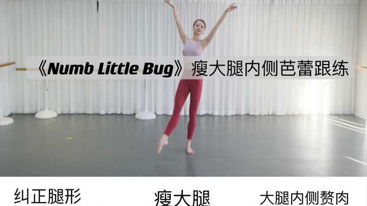 《Dumb Little Bug》瘦大腿内侧芭蕾跟练！