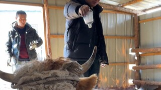 A cow was paralyzed after giving birth, so my dad grilled her with a fire and beer.