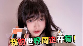 进来看僵尸换装！——我的世界周边开箱