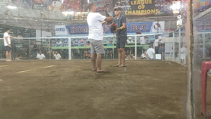 ESL AAA Gamefarm WPC stag derby