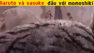 Naruto và sasuke