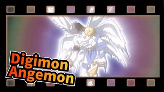 Digimon|Biên niên sử Angemon chiến đấu với trùm qua nhiều cấp độ_5