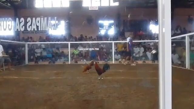 Dirtyfeet hatch 1/3 brothers