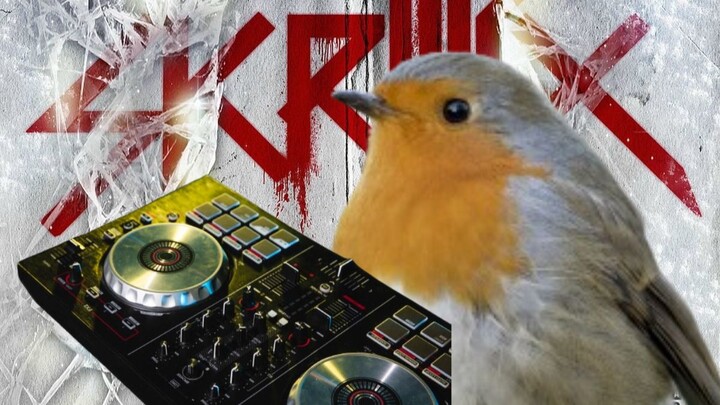 Dewa Burung Penyendiri: Burung Menggoyang Bangarang