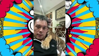 Suara Anak Macan Seperti Angsa #short #shorts #shortvideo