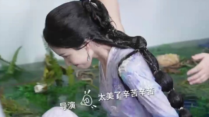 Bé Văn Tiêu xuống nước chụp ảnh ghi lại, Bão Bão phấn khích cười ha ha; nhân viên rất cưng: “Em cũng