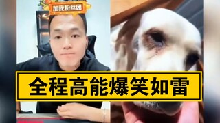 潘宏直播训狗，全程高能，爆笑如雷！