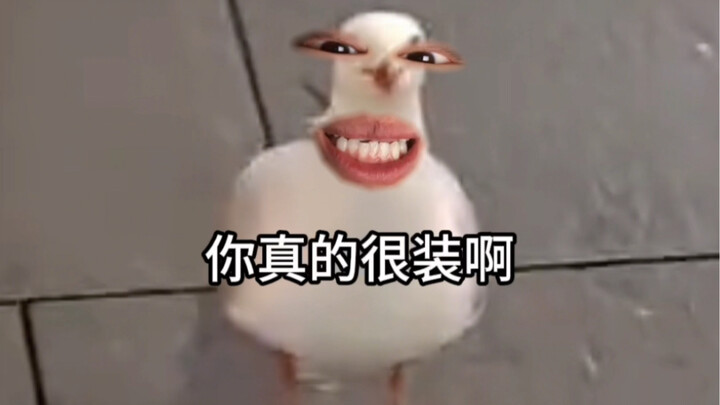 海鸥：好好好，这么玩是吧，好好好