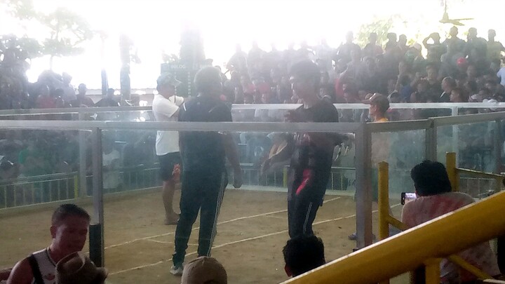 easy win. mga boss bulua arena!!