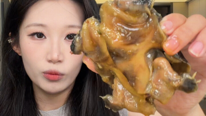 Today’s soft-shelled turtle is a bit different