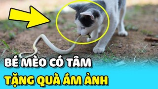 💥 Bé mèo TẶNG "BÉ NA" cho chủ để TRẢ ƠN khiến Sen trầm cảm | TIN GIẢI TRÍ