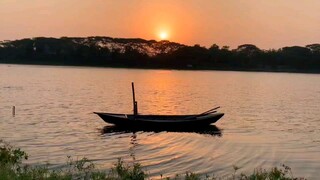 আমার সোনার ময়নার পাখি