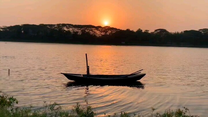 আমার সোনার ময়নার পাখি