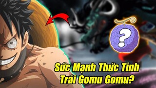 Cách Để Thức Tỉnh Trái Ác Quỷ? - Tiềm Năng Sức Mạnh Giúp Luffy Đánh Bại Kaido