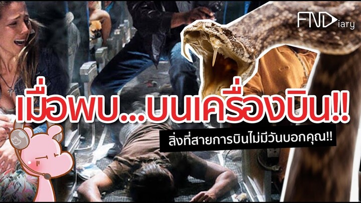 คิดให้ดีก่อนขึ้นเครื่องบิน!! #จังรัยไดอะรี่ I แค่อยากเล่า...◄451►