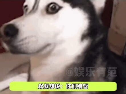 Ketika paman mulai memperkuat pintu dan jendela, pastikan untuk memberitahuku ya~