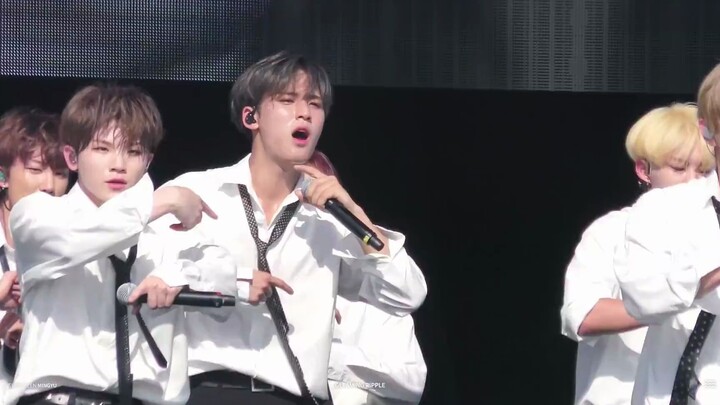 [MINGYU Straight Shot] Aku nggak akan biarkan siapa pun melewatkan 3Call ini di cuaca 40°C! "Call Ca