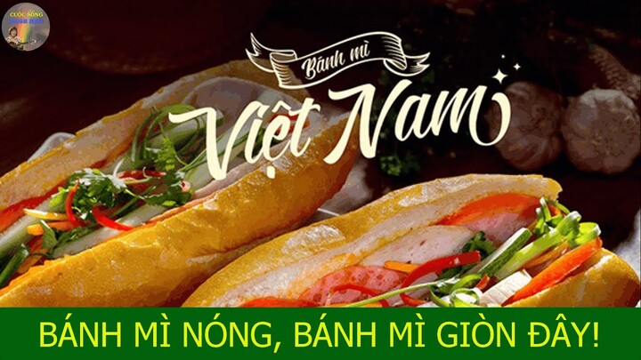 Bánh Mì Việt Nam, Top 10 Món Ăn Đường Phố Ngon Nhất Thế Giới