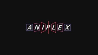 『aniplex』有你入坑的番吗？