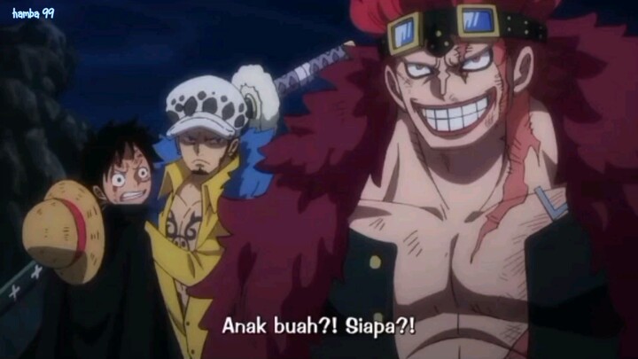 one piece pok ami ami