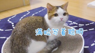 【ย้อนชมคลาสสิก】ช่วยบังบังขโมยแฮมเบอร์เกอร์