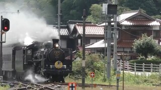 ドナルドのガーガーあひる