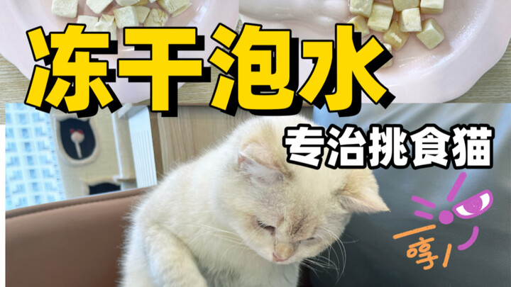 อย่าเสียของฟรีซดรายไปเปล่าๆ นะ