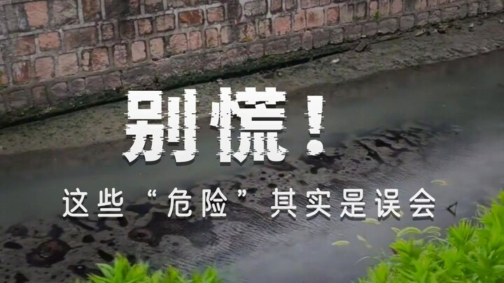 เจออันตรายแบบนี้ต้องวิ่งหนีไหม? อย่าเลือกผิดเด็ดขาด!