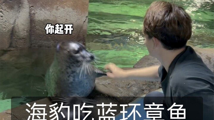 The blue-ringed octopus I was keeping at the aquarium has escaped...