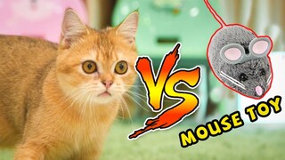 Cats vs Mouse toy (The Happy Pets #20)