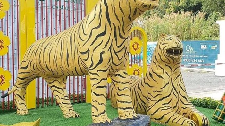 hổ của các tỉnh