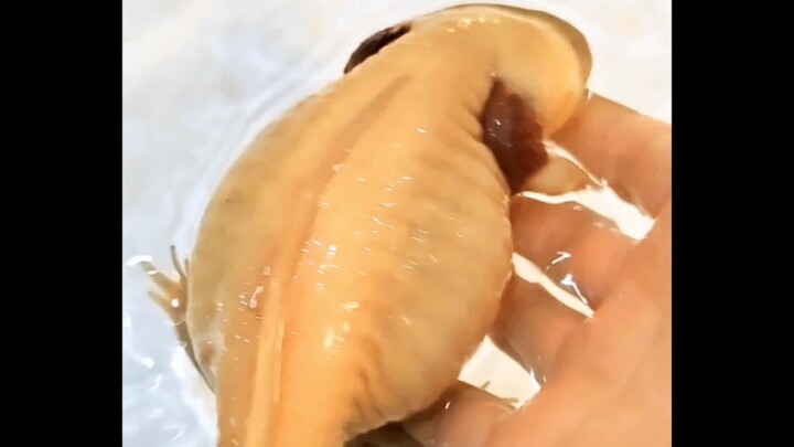 Changing the Water for the Fat Guys